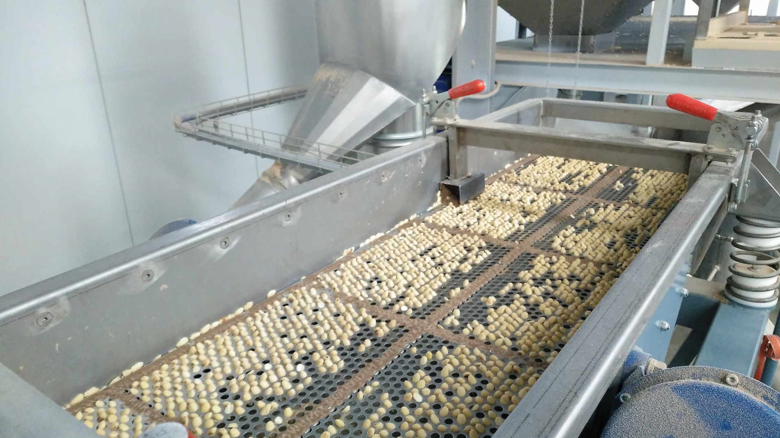 Ingeniero Agrónomo en Granada