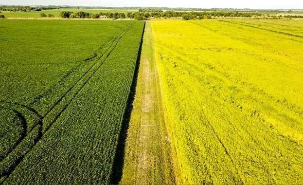Industria Agroalimentaria