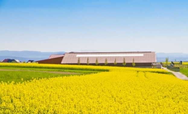 Centrales Hortofrutícolas