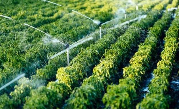 Infraestructura de Riego