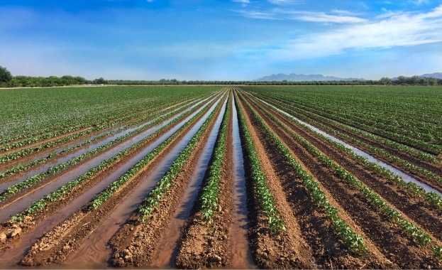 Modernización de Regadíos