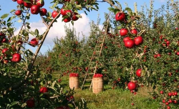 Grupos de desarrollo Rural