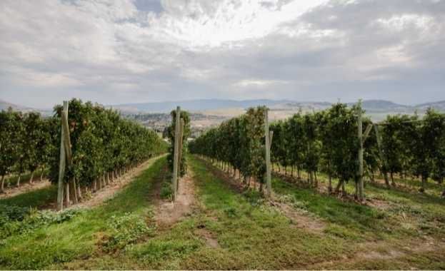 Modernización de Explotaciones