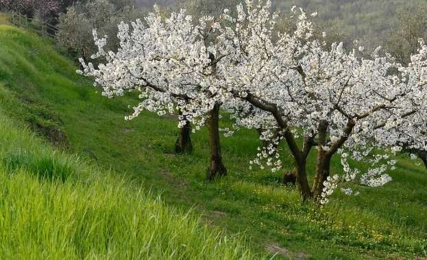 Estudios de Impacto Ambiental