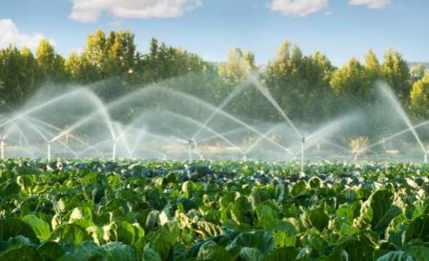 Modernización de Regadíos